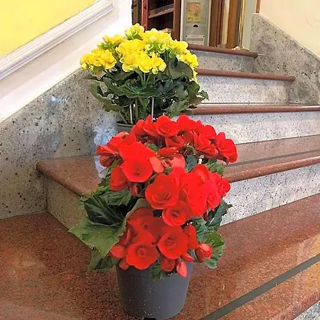 Hotel Stromboli Roma