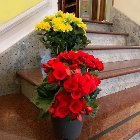 斯特隆伯利酒店 酒店